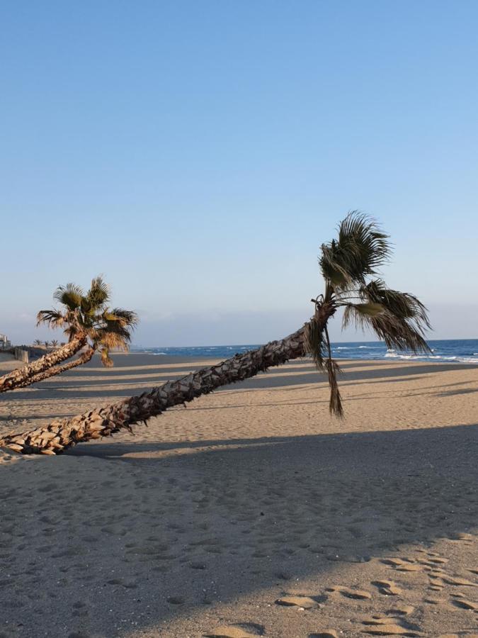 Reve Mediterraneen, La Vie De Chateau Le Barcarès Kültér fotó